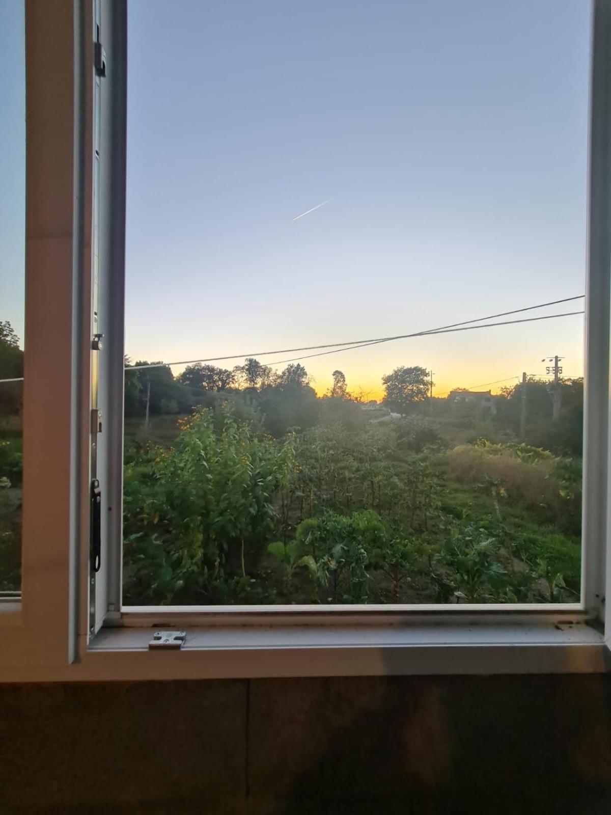 Apartamento T2 Zona Rural Vila Nova de Paiva Bagian luar foto