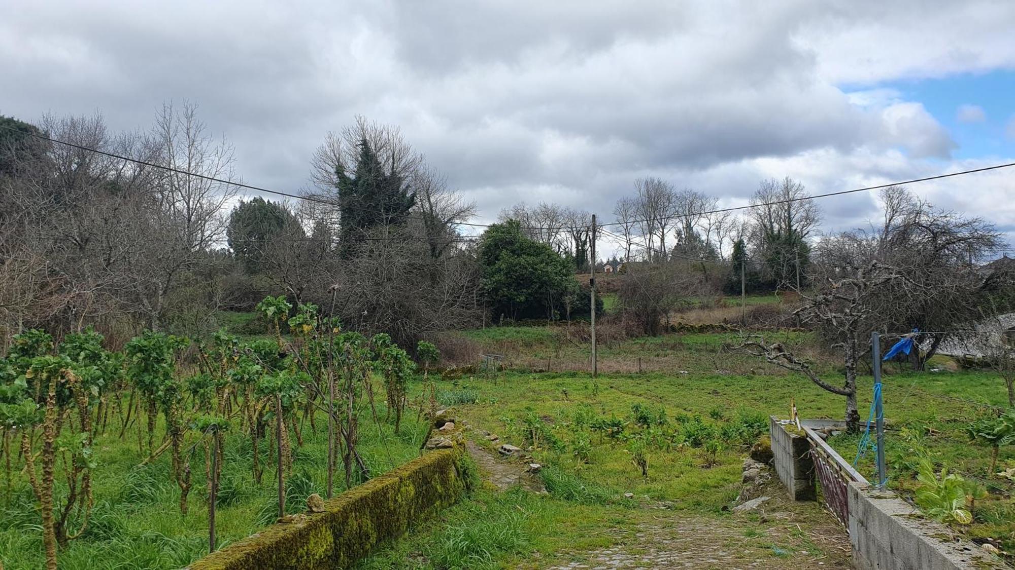 Apartamento T2 Zona Rural Vila Nova de Paiva Bagian luar foto
